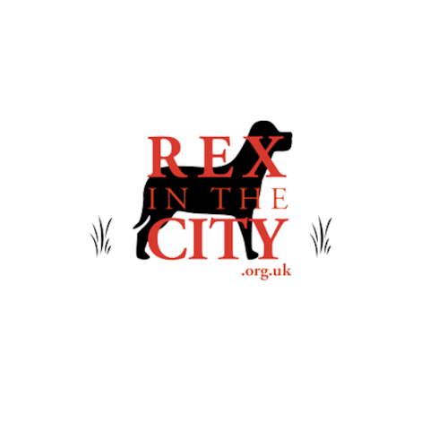 Rex In The City