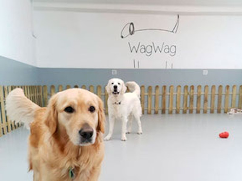 WagWag Guardería (Parque Berlín)