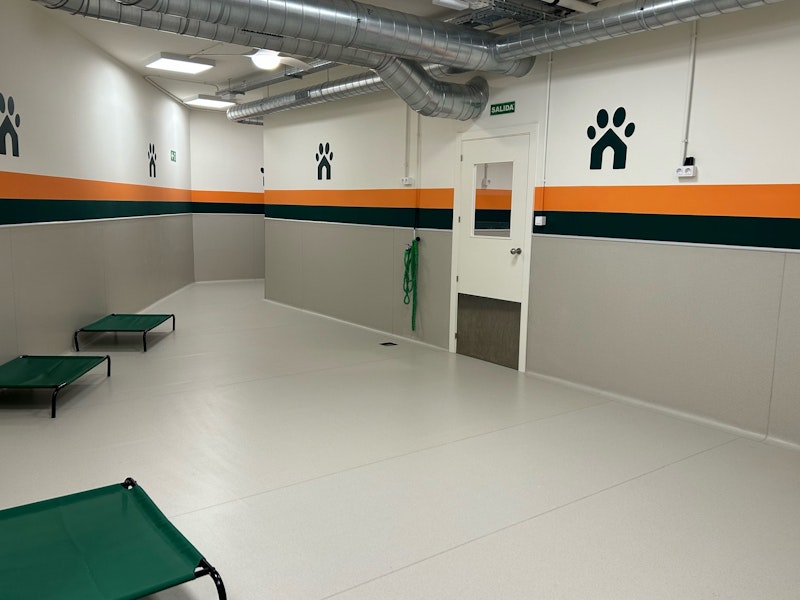 DogTerra Guardería Madrid - imagen 1