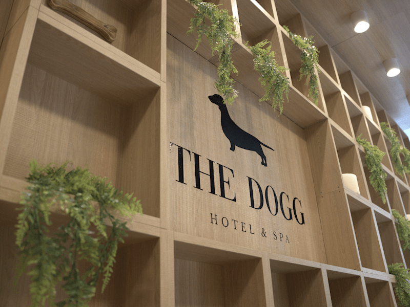THE DOGG Guardería - imagen 1