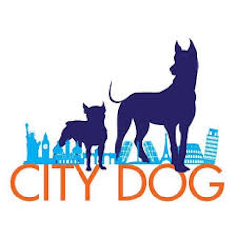 City Dog