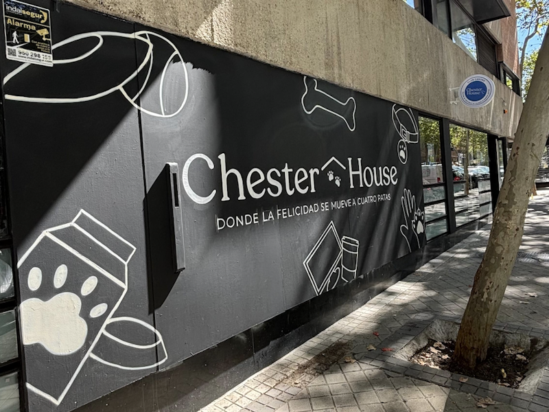Chester House Club Canino