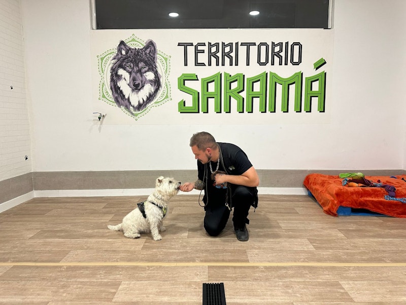 Residencia Territorio Saramá