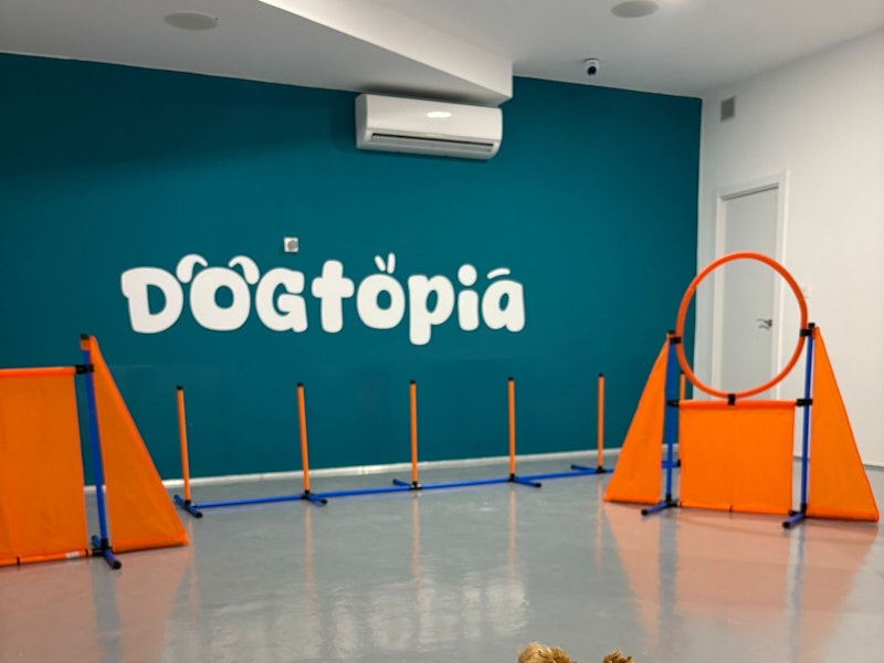 Dogtopia Guardería Canina