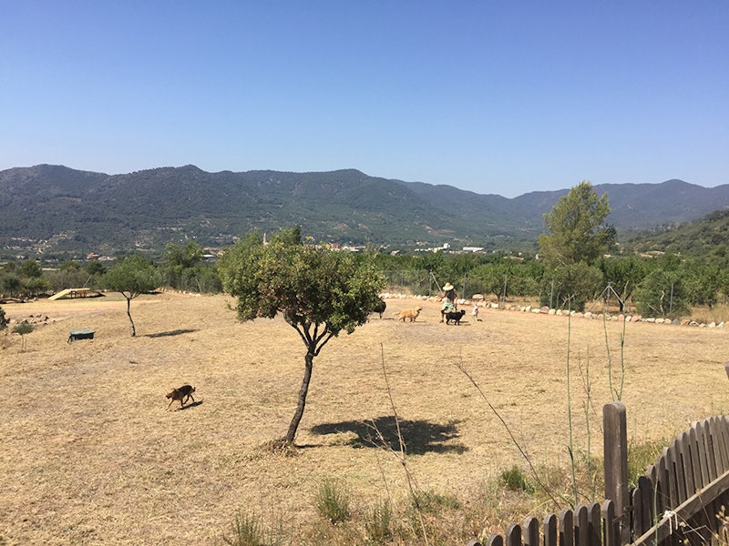 Residència Canina Can Hash Alforja (Tarragona)