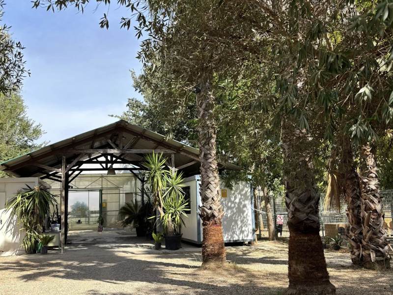 Maskotas Hotel Canino