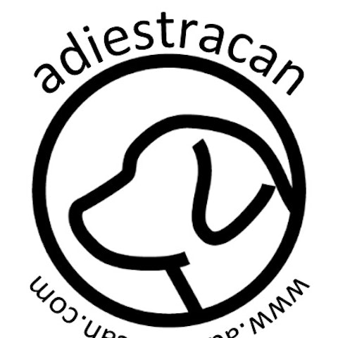 Adiestracan Adiestramiento canino Madrid