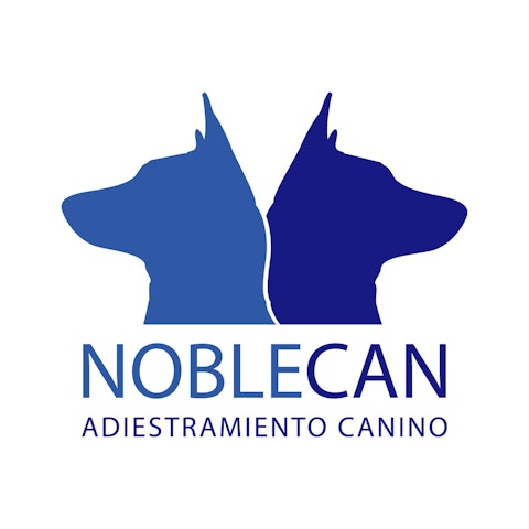 Adiestramiento, educación canina y etología canina a domicilio