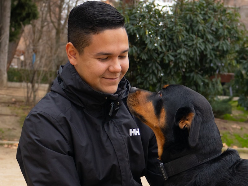 Adiestramiento canino en Madrid