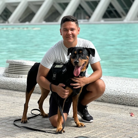 FormaDogs