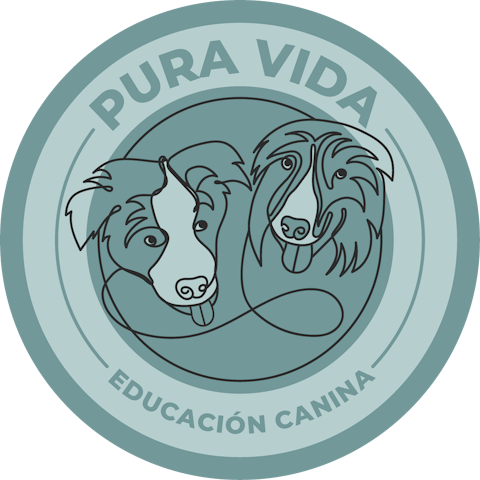 PURA VIDA EDUCACIÓN CANINA