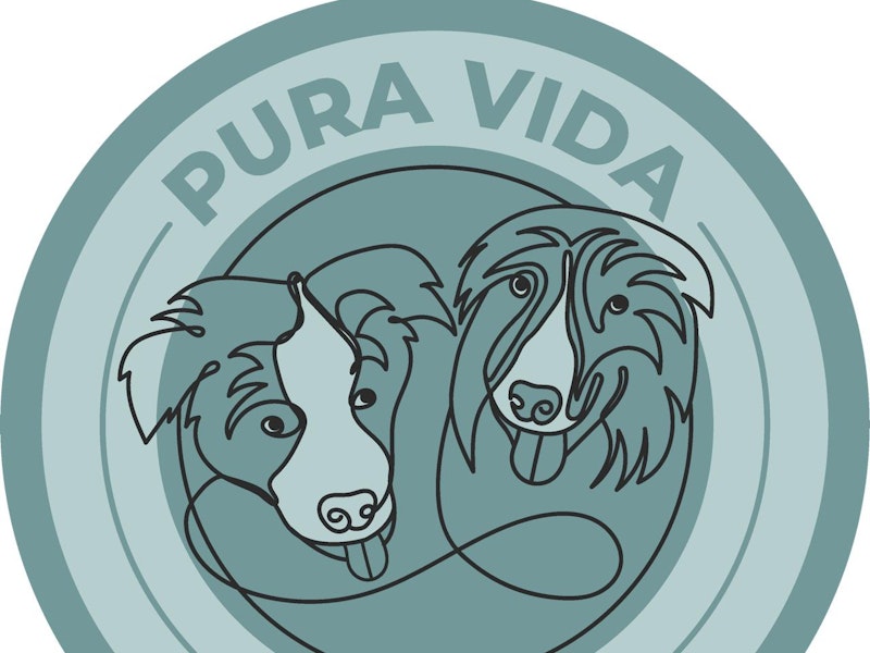 PURA VIDA EDUCACIÓN CANINA.