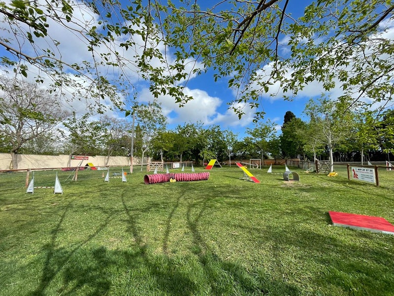 Escuela de Adiestramiento y Agility