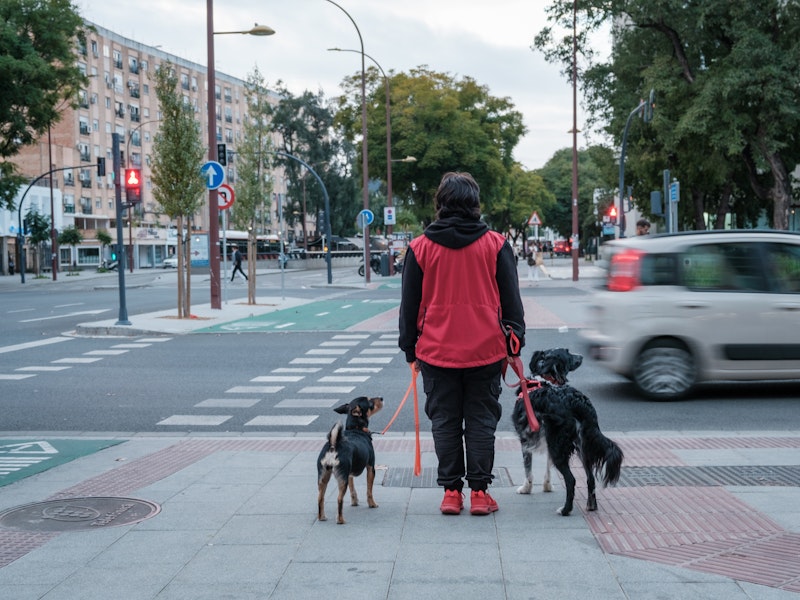 Programa MAX de Modificación de Conducta SEVILLA 60 días