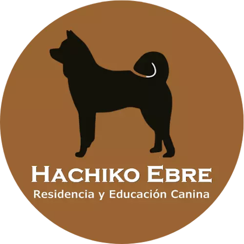 Hachiko Ebre