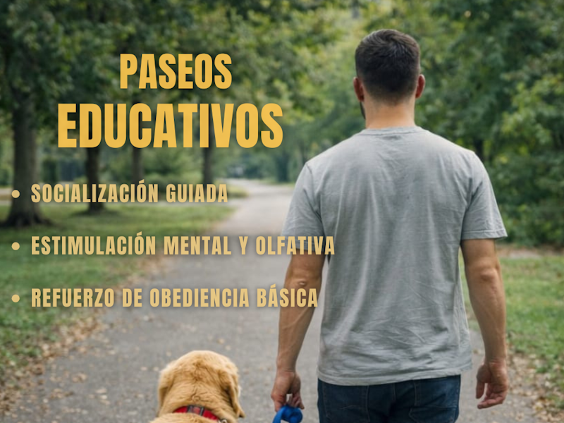 Especialista en adiestramiento y comportamiento canino